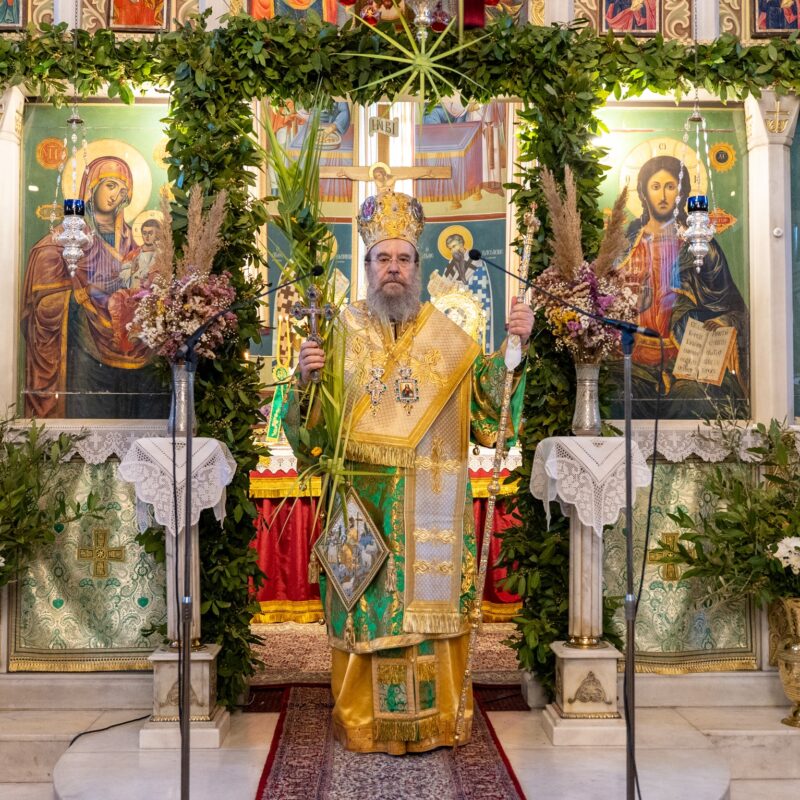  Η ΚΥΡΙΑΚΗ ΤΩΝ ΒΑΪΩΝ  ΣΤΗ ΜΕΓΑΛΗ ΠΑΝΑΓΙΑ